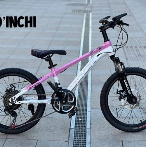 DOOK Pink 20 inch