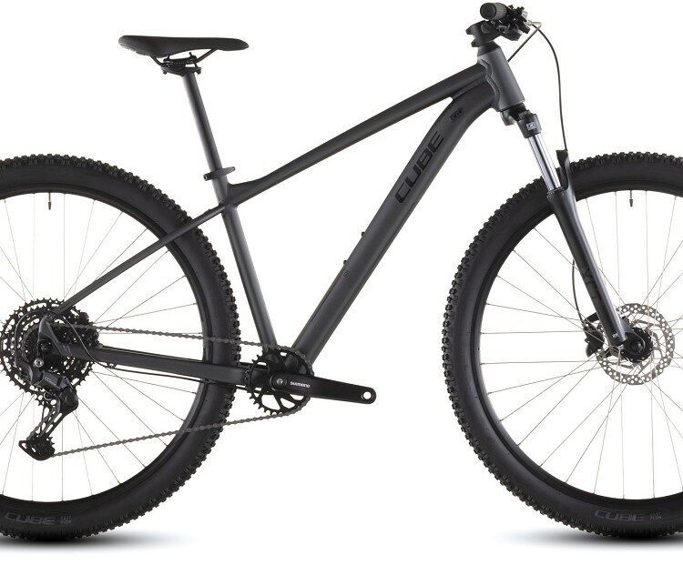 AIM PRO BLK L 2026